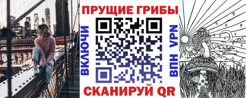Купить закладки  Камышлов  Псилоцибиновые грибы мицелий 